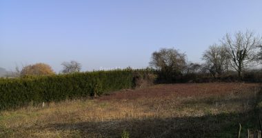 f615a3d9.jpg